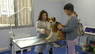 Veterinario gratis per i fragili, centro inaugurato a Torino